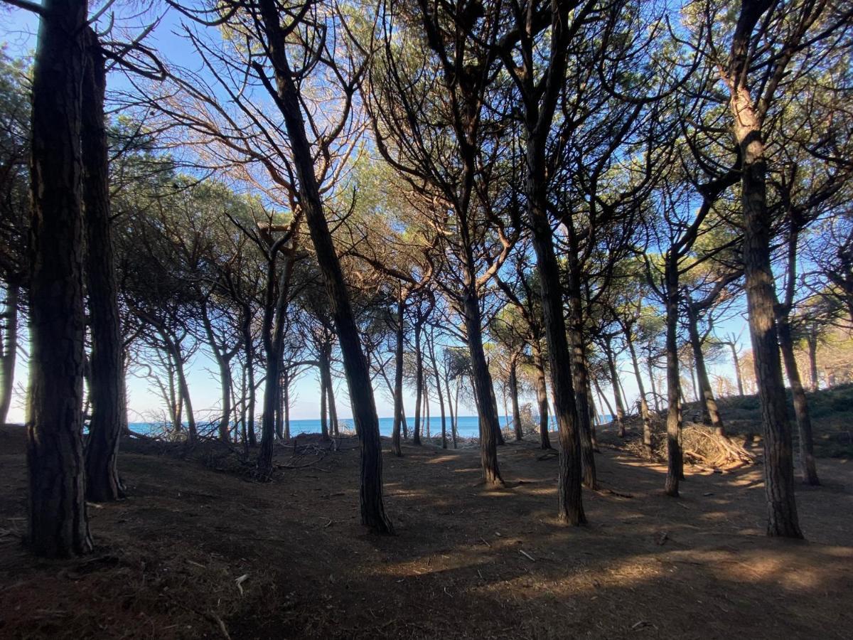 Appartamento Acquamarina Marina di Cecina Esterno foto