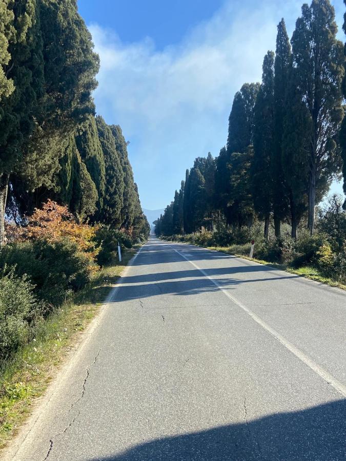 Appartamento Acquamarina Marina di Cecina Esterno foto